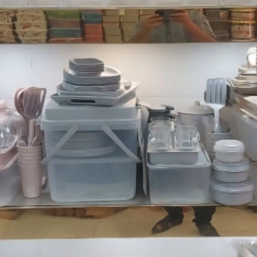 سرویس مسافرتی