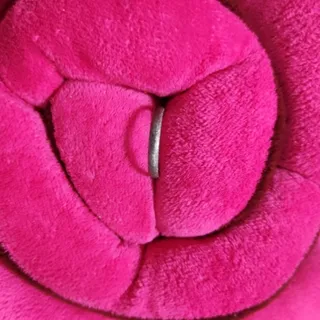انگشتر حلقه