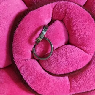 گوشواره حلقه ای