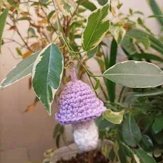 قارچ بافتنی