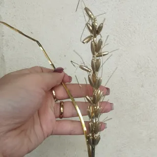 شاخه گل