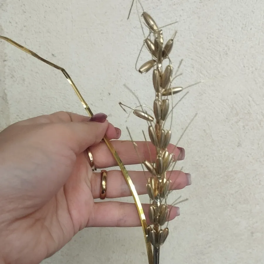 شاخه گل