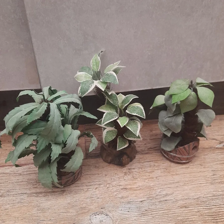مجسمه های دکوری درخت