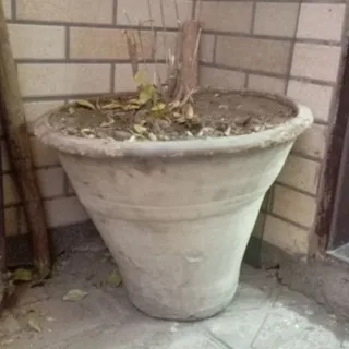گلدان گلی سایز بزرگ