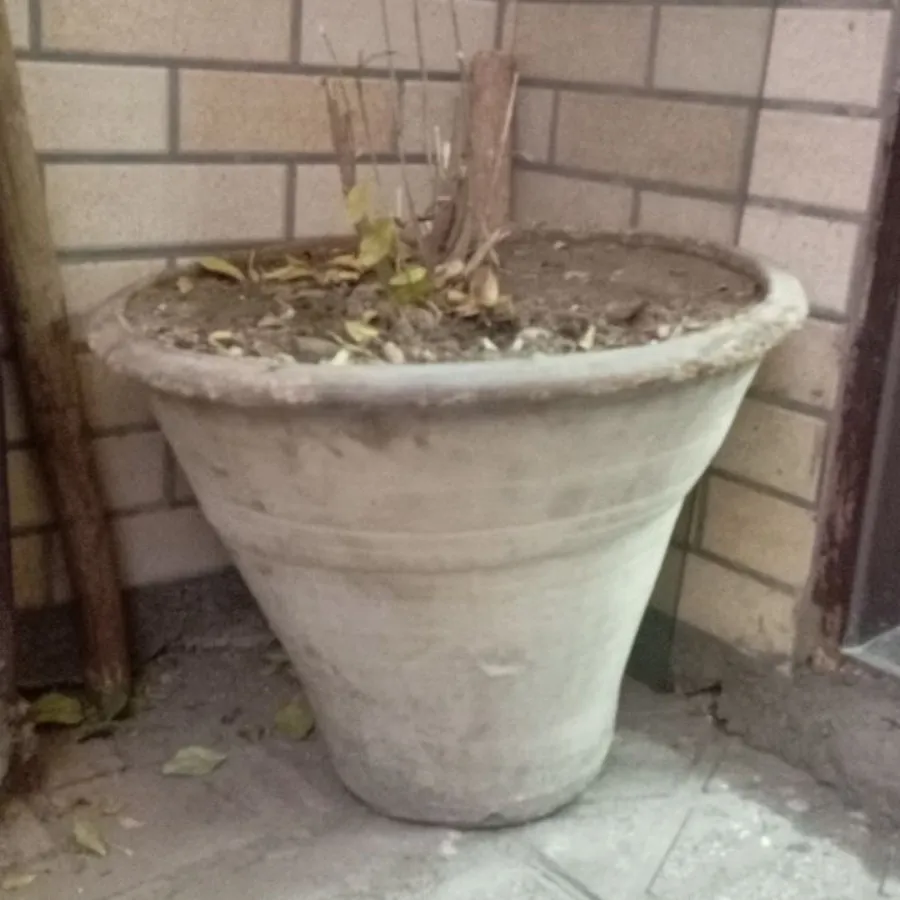 گلدان گلی سایز بزرگ