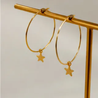 گوشواره 925s وارداتی