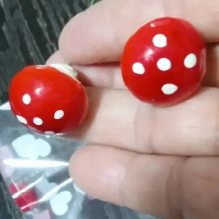 گل مو