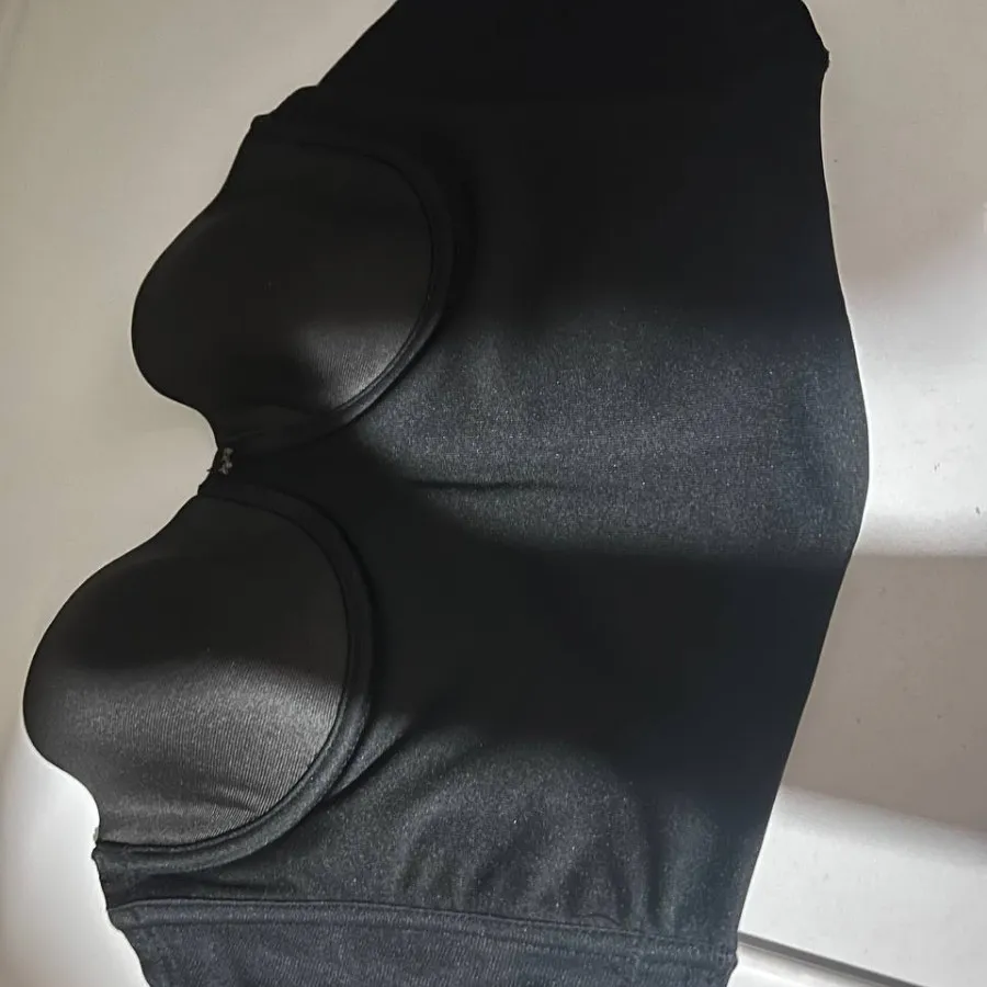 نیستند مجلسی