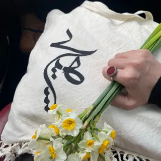 توت بگ