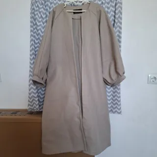 پالتو