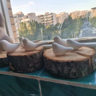 مجسمه های کبوتر
