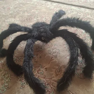 عروسک عنکبوت