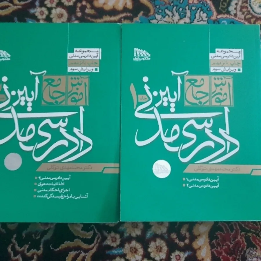 دوجلدی آیین دادرسی مدنی ت