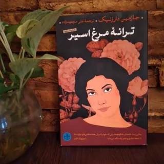 رمان ایرانی