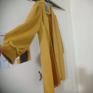 پالتو