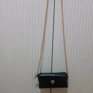 کیف مجلسی