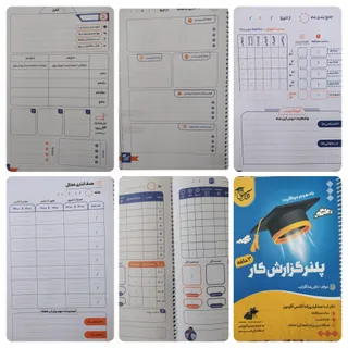 پلنر گزارشکار