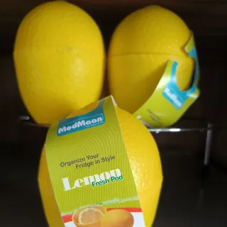 ظروف نگهدارنده