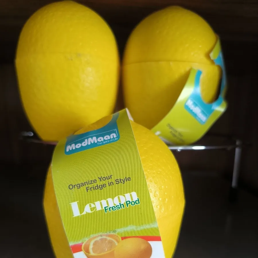 ظروف نگهدارنده