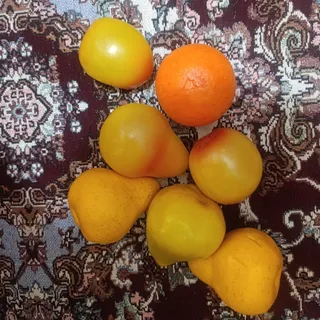 میوه مصنوعی