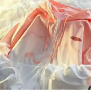 سویشرت