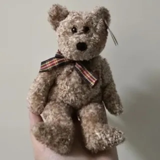 تدی بر برند TY