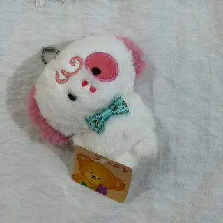 جاسوییچی