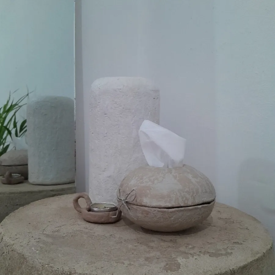 جای دستمال کاغذی
