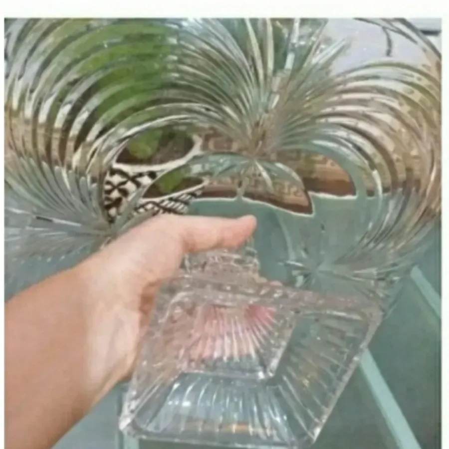 میوه خوری پایه دار کریستا