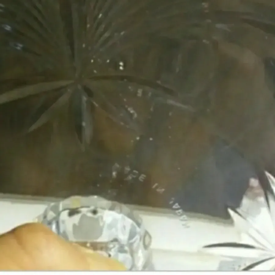 میوه خوری پایه دار کریستا