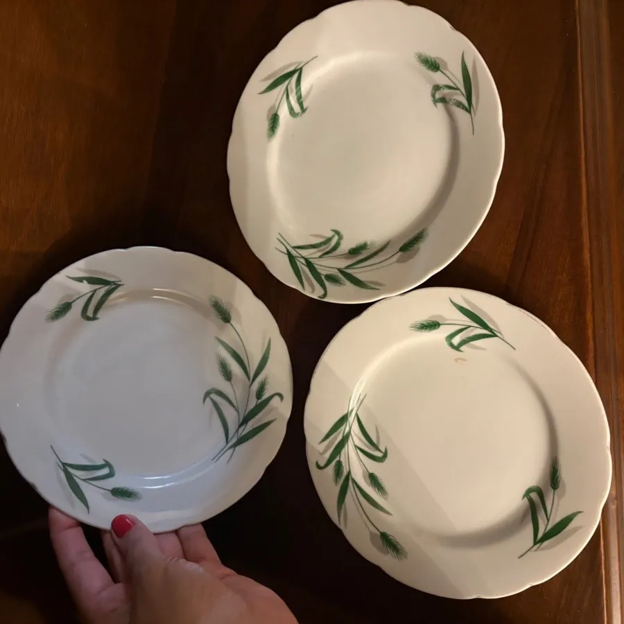 ظرف گل گندم مسعود