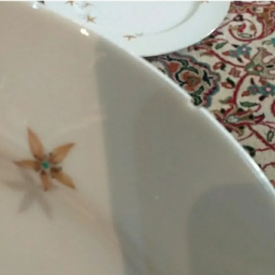 پلو خوری قدیمی ژاپنی