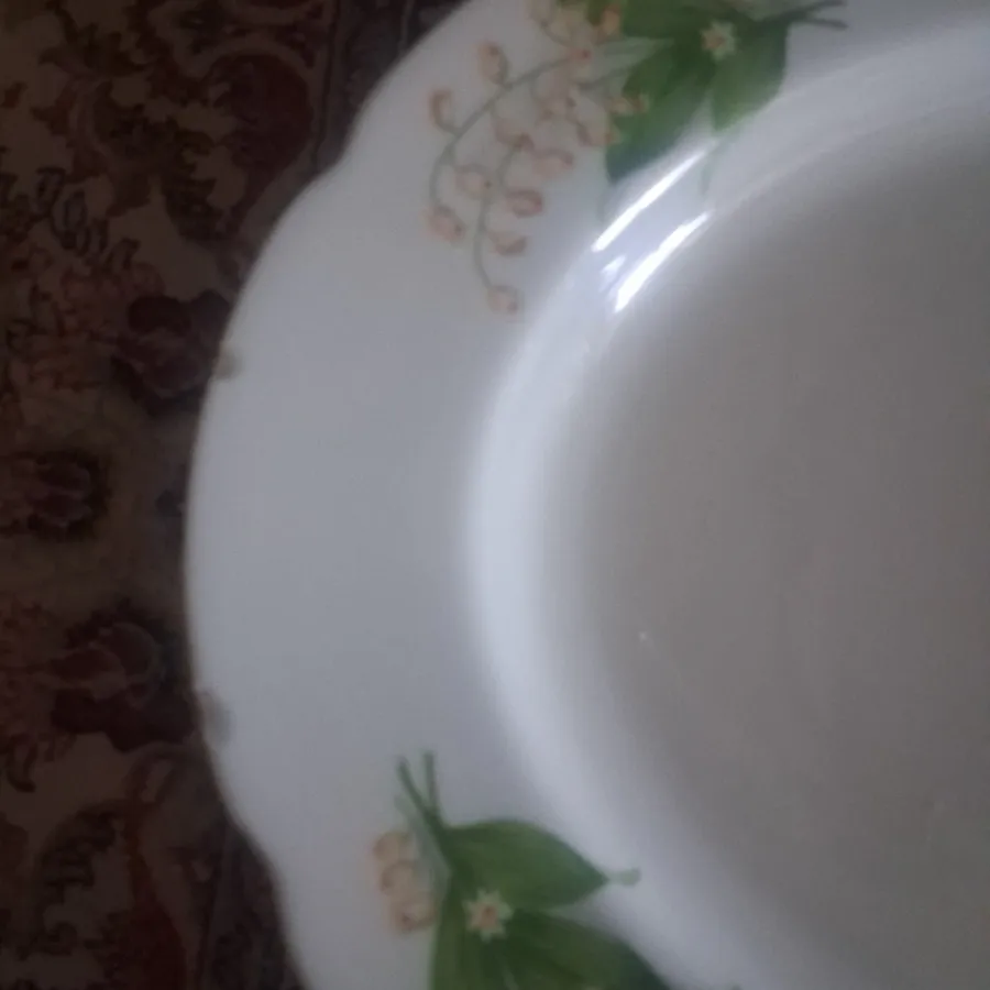 دیس برنج سایز بزرگ
