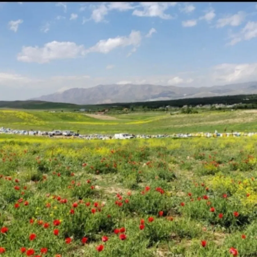 عسل درجه یک زاگرس