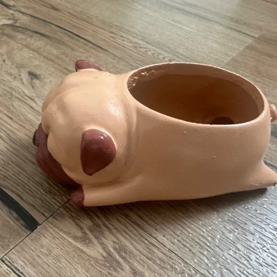گلدون هاپو