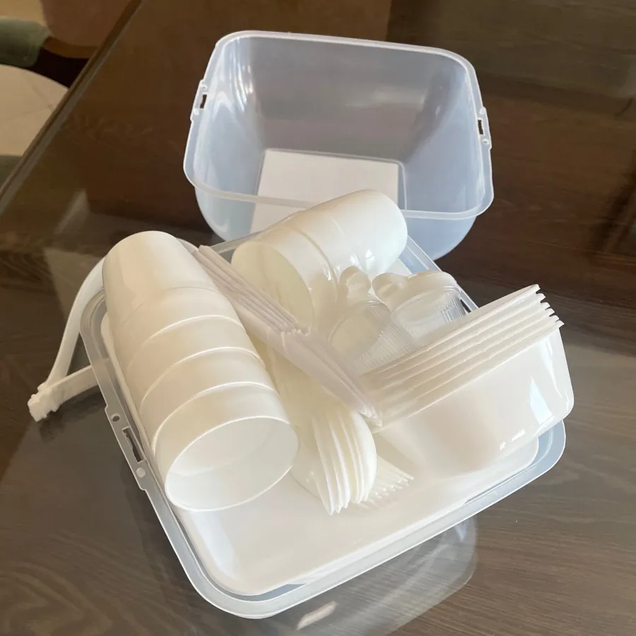 ظرف پیکنیکی