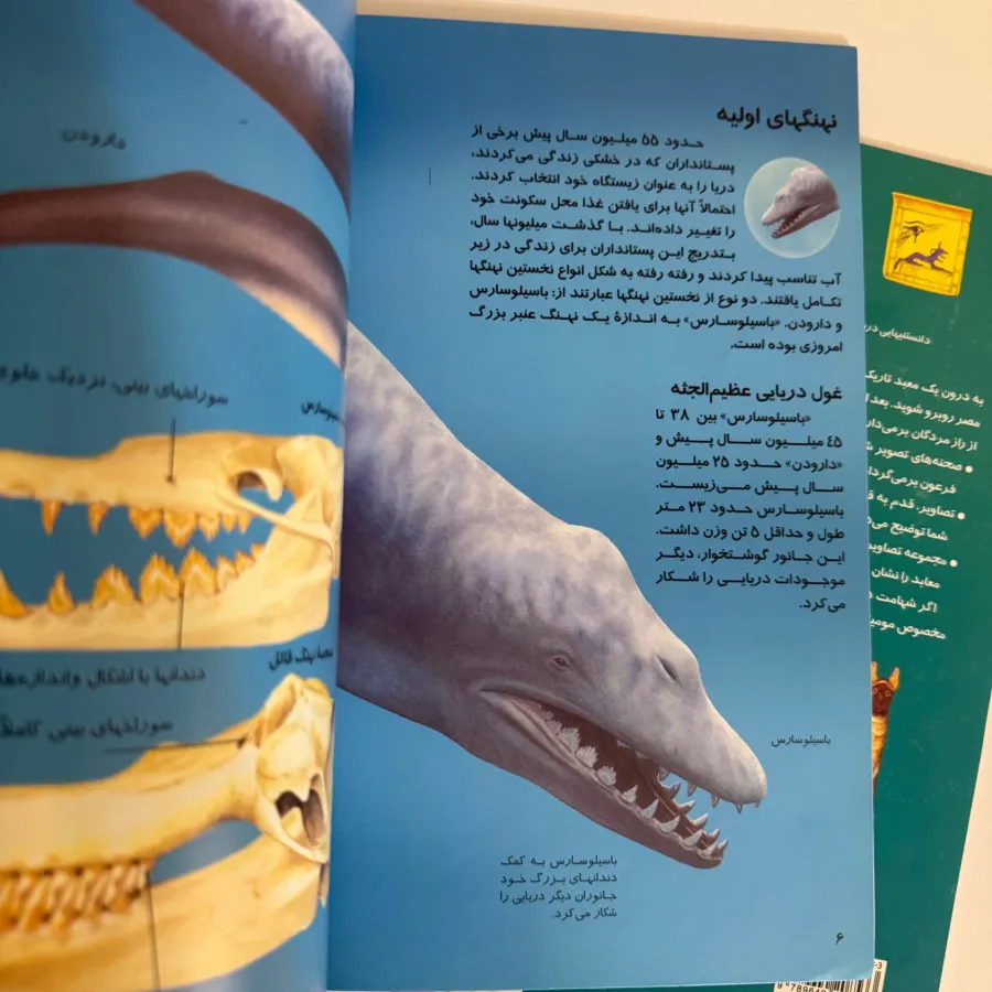 کتاب نوجوانان