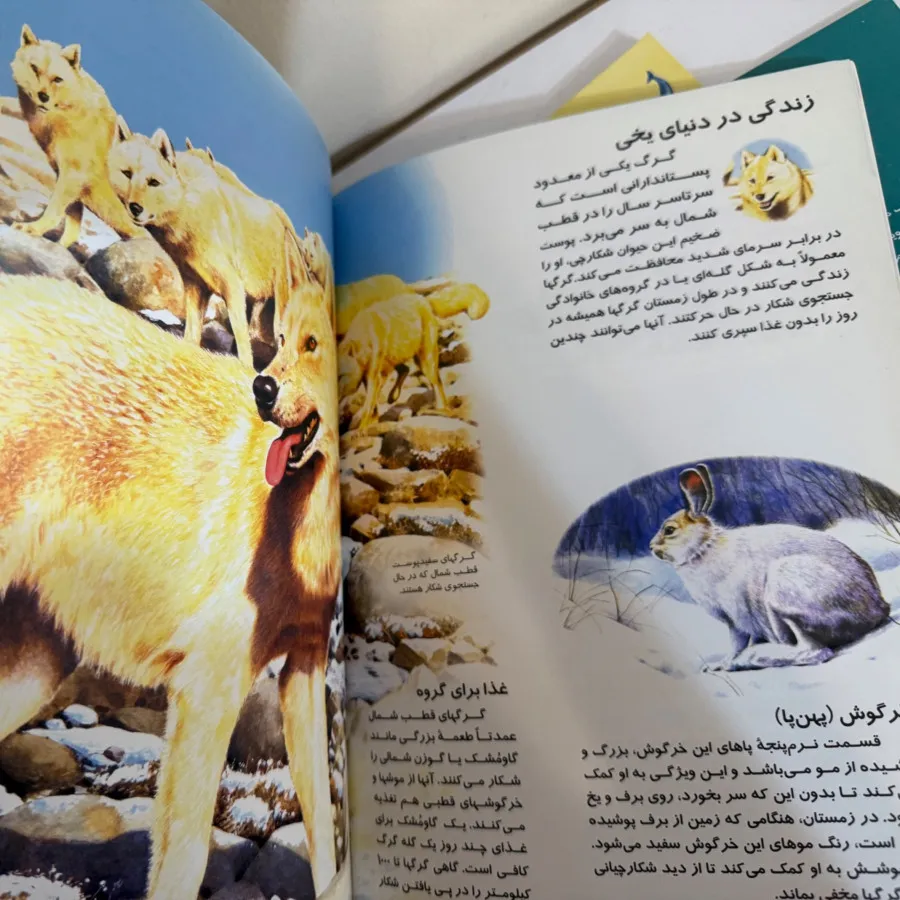 کتاب نوجوانان