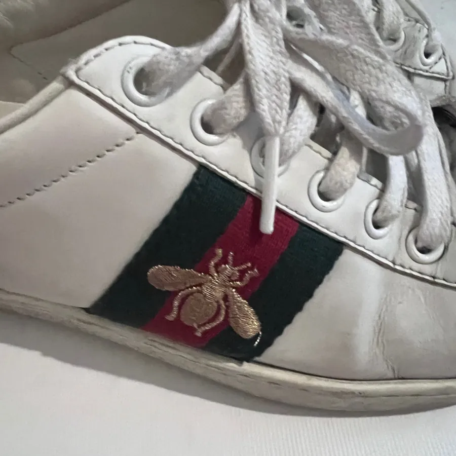 کفش گوچی اصل