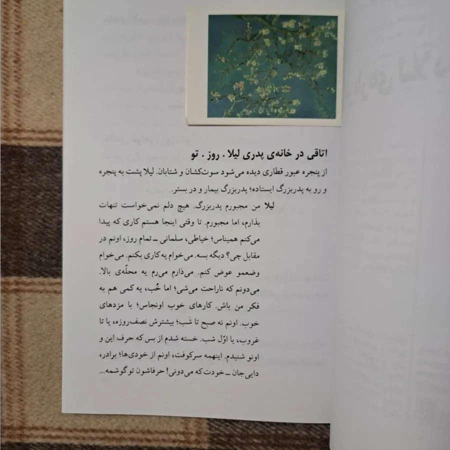حقایق درباره لیلا