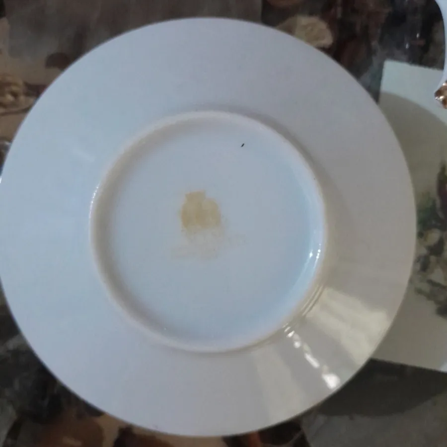 سرویس قهوه خوری ورساچه