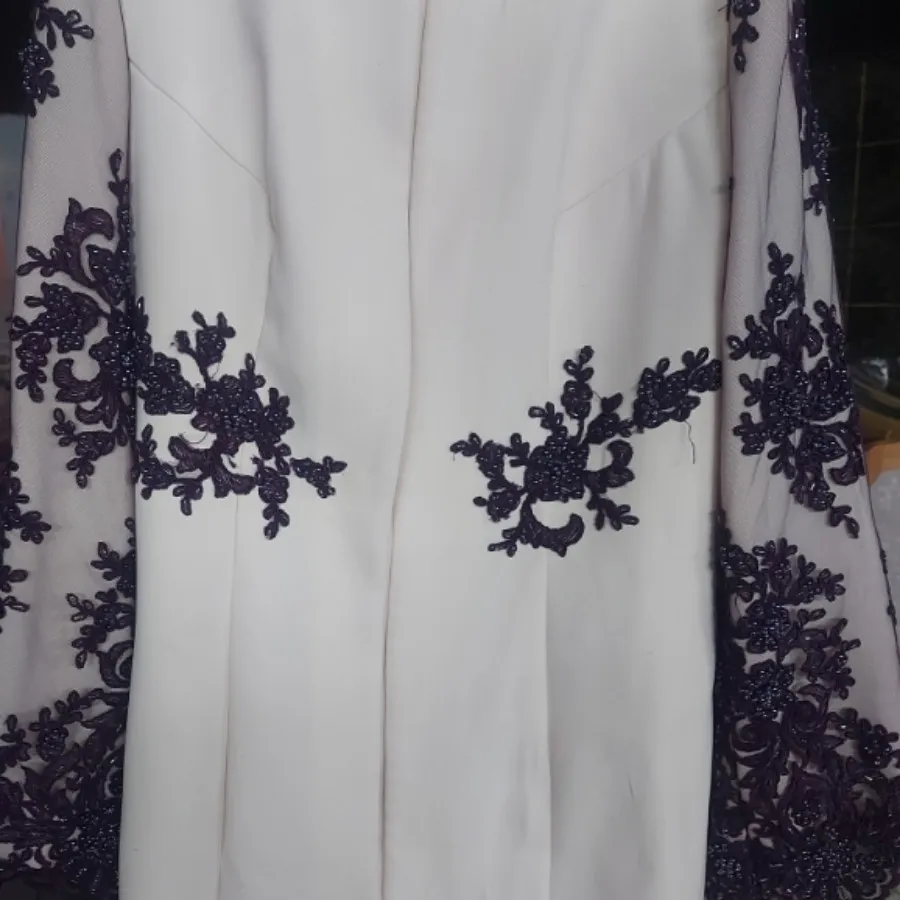 مجلسی و مانتو