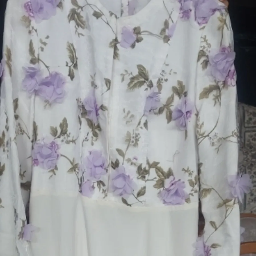 مجلسی و مانتو
