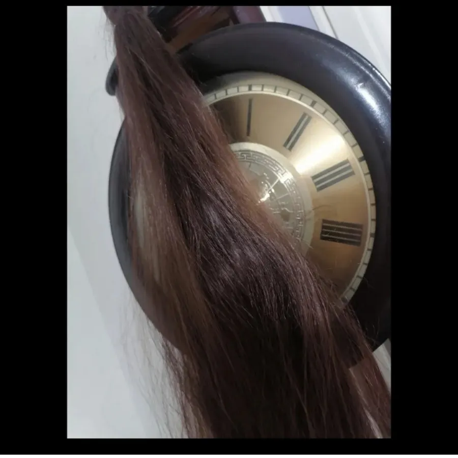اکسسوری مو، دم اسبی