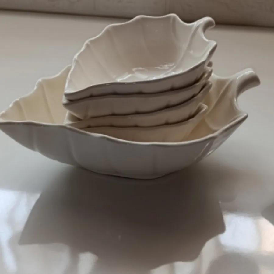 ظرف برگ