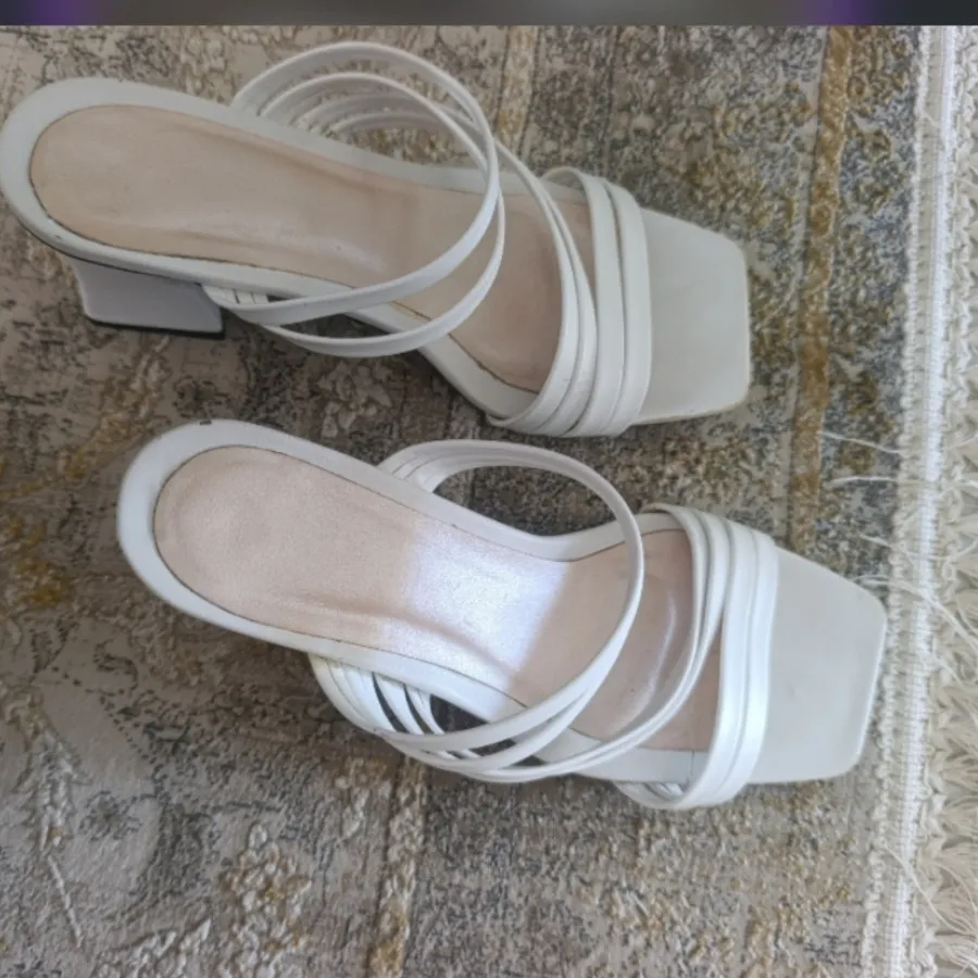صندل سفید مجلسی