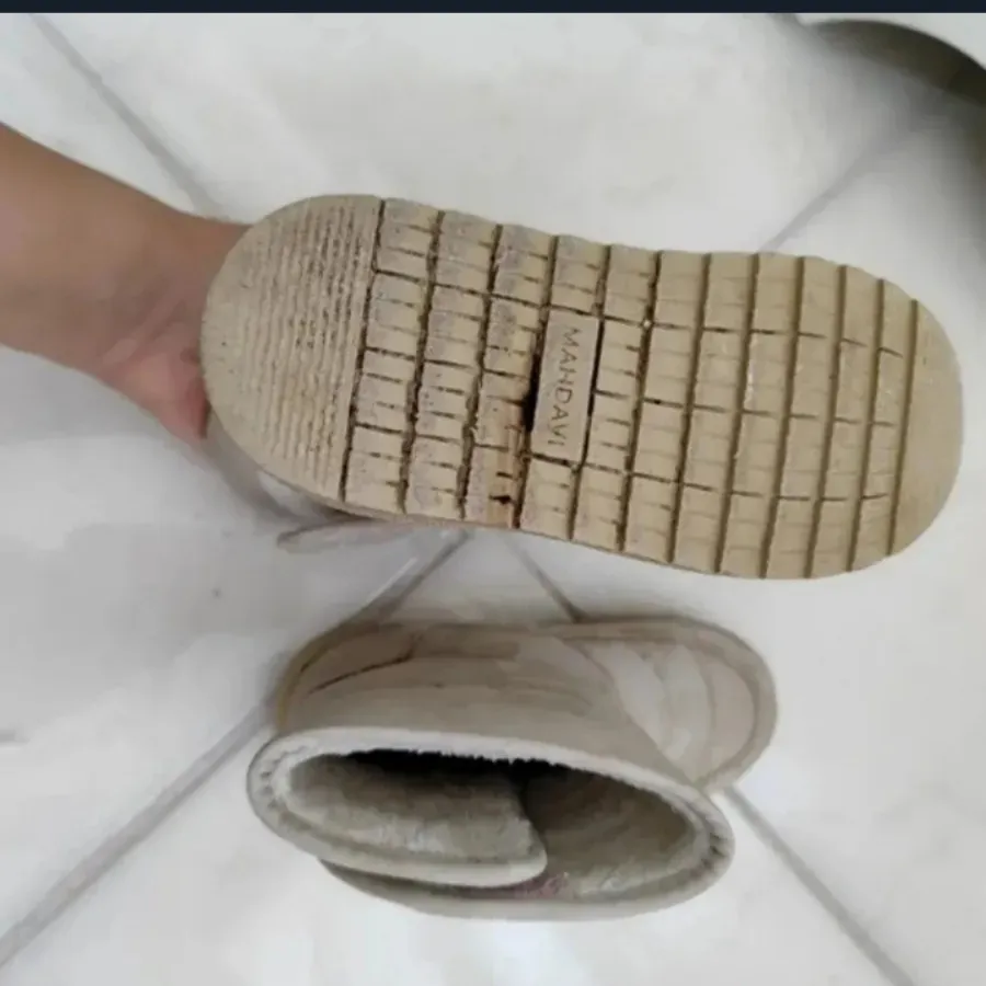 بوت