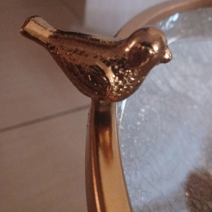 میوه خوری
