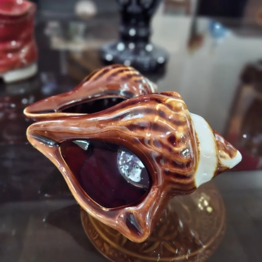 دو عدد صدف تزیینی