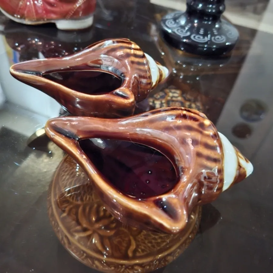 دو عدد صدف تزیینی